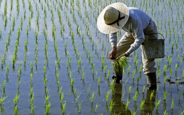 Lipsa de combustibil, efect direct al războiului din Iran: Asia, sub amenințarea foametei