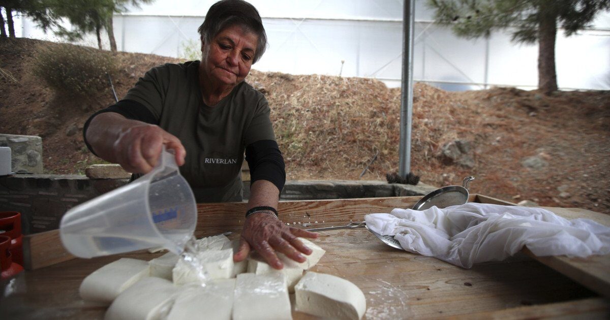Halloumi în pericol: Fermierii ciprioți, loviți de o epidemie. Soluția, la turci
