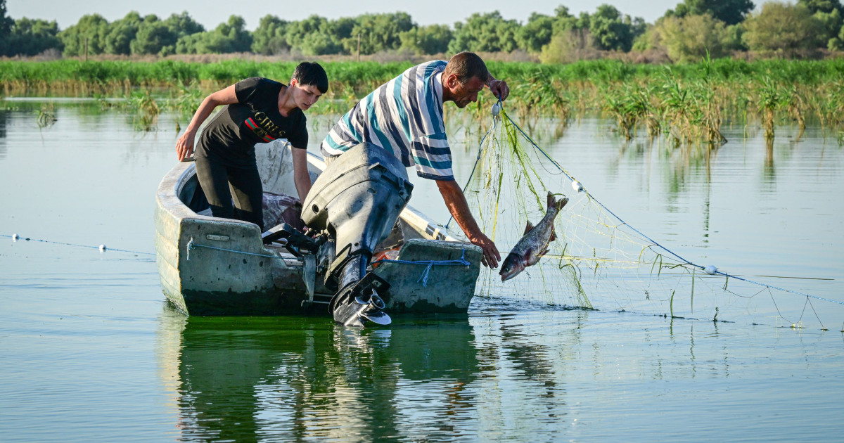 Pescarii tulceni au majorat prețurile pentru captura proprie, motivată de creșterea considerabilă a costurilor cu carburanții, potrivit președintelui asociației Golovița, Cătălin Balaban