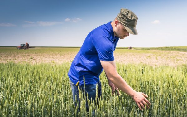 Criză îngrășămintelor: Fermieri fac apel la Bruxelles, cer ajutor URGENT