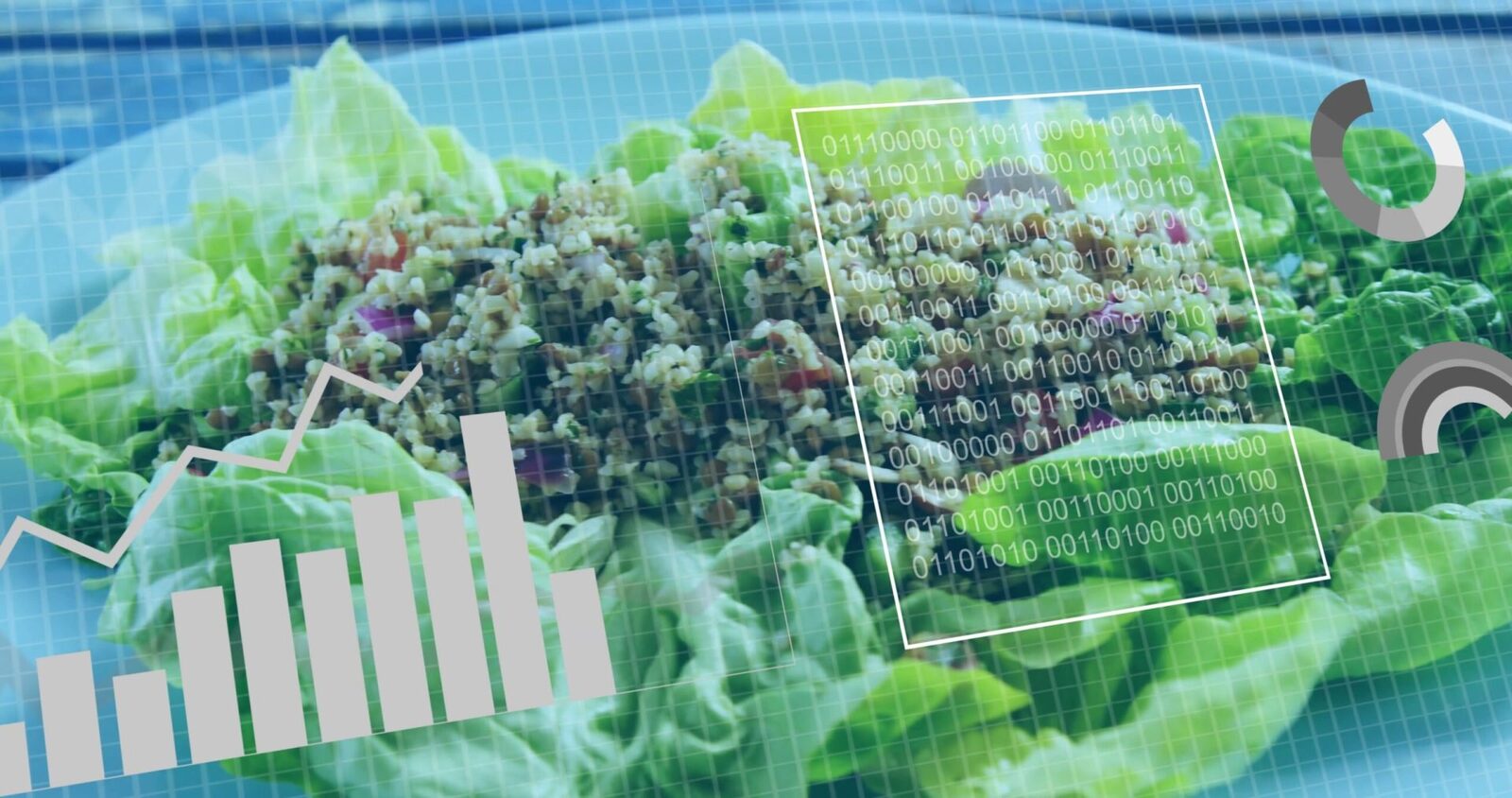 Cum funcționează nutriția: Ce mâncăm la 20, 40 sau 60 de ani, sfaturi esențiale