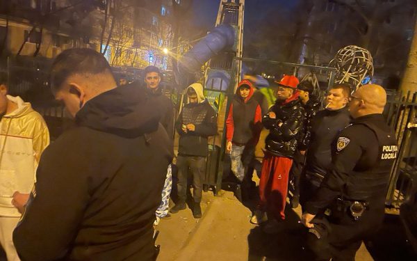 Cojile de semințe costă 100 de euro: Poliția supraveghează curățenia în România
