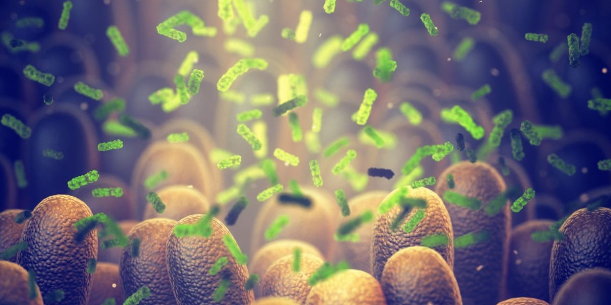 Bacterie-Ucigașă: Oamenii de Știință Revoluționează Lupta Anti-Cancer