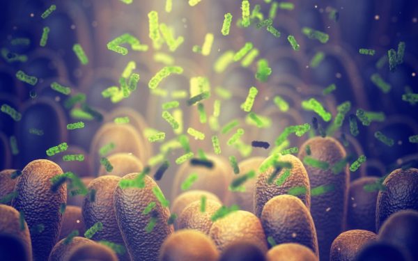 Bacterie-Ucigașă: Oamenii de Știință Revoluționează Lupta Anti-Cancer