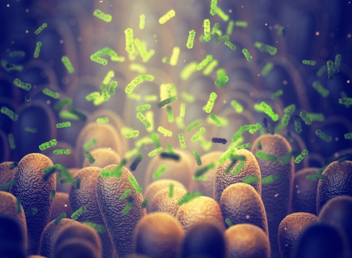 Bacterie-Ucigașă: Oamenii de Știință Revoluționează Lupta Anti-Cancer