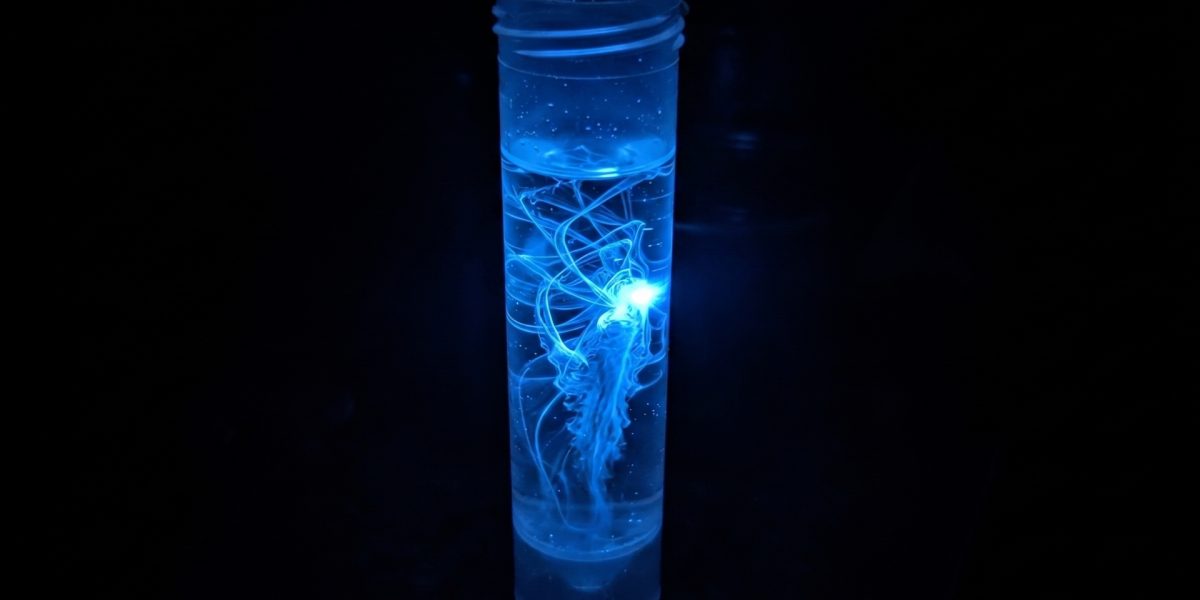 Hoți ANUNȚĂ Apocalipsa Nucleară: Cilindrul Albastru, Groaza într-un Spital Abandonat