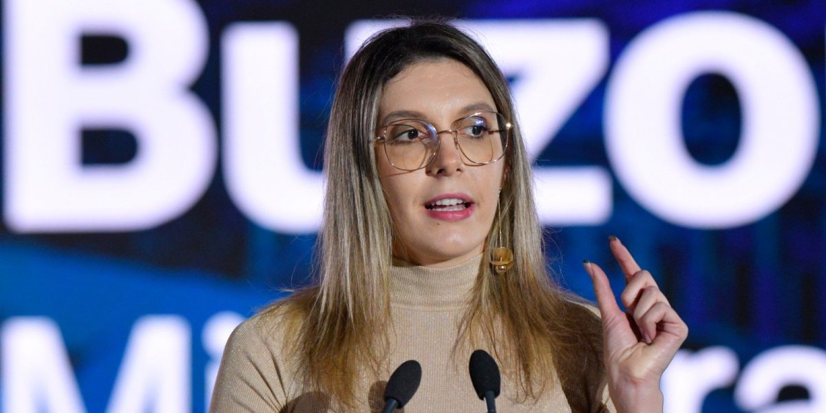 Buzoianu, victorie pentru Ministerul Mediului în cazul drumului din Pădurea Băneasa