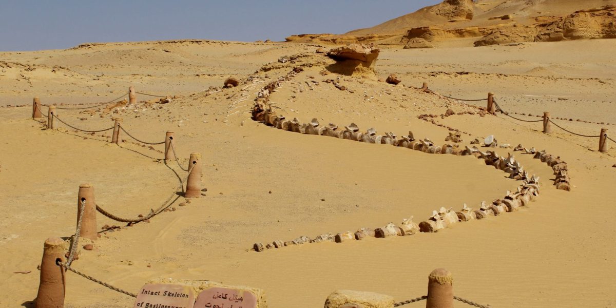 Un eveniment antic a dus la prăbușirea Regatului Egiptean