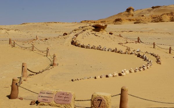 Un eveniment antic a dus la prăbușirea Regatului Egiptean