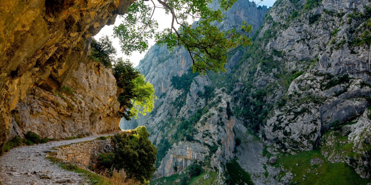 Parcul ROMÂNESC secret, desemnat „cel mai frumos loc din lume”
