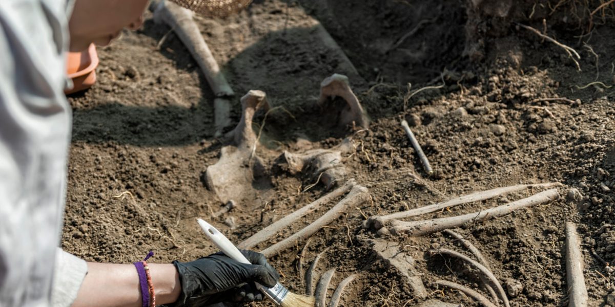 Peisaj antic: Descoperire uluitoare, rămășițe umane vechi de 100.000 de ani