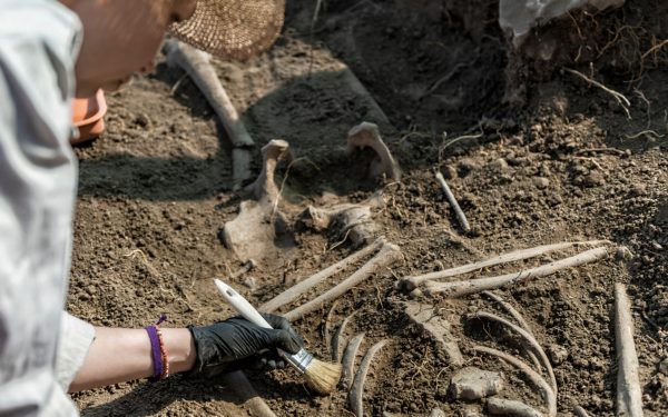 Peisaj antic: Descoperire uluitoare, rămășițe umane vechi de 100.000 de ani