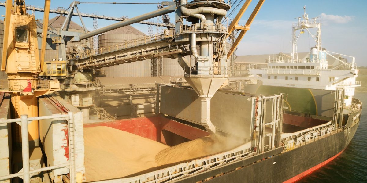 Câți bani au scos fermierii din cereale anul trecut? Exporturile, sub 1%