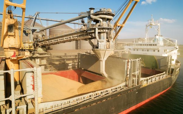 Câți bani au scos fermierii din cereale anul trecut? Exporturile, sub 1%