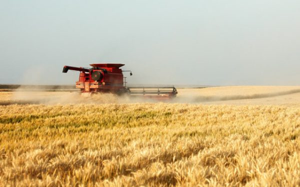 Al Dahra, Emiratele Arabe Unite, lider în subvențiile agricole din România: Top 30 beneficiari