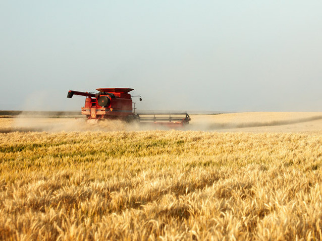 Al Dahra, Emiratele Arabe Unite, lider în subvențiile agricole din România: Top 30 beneficiari