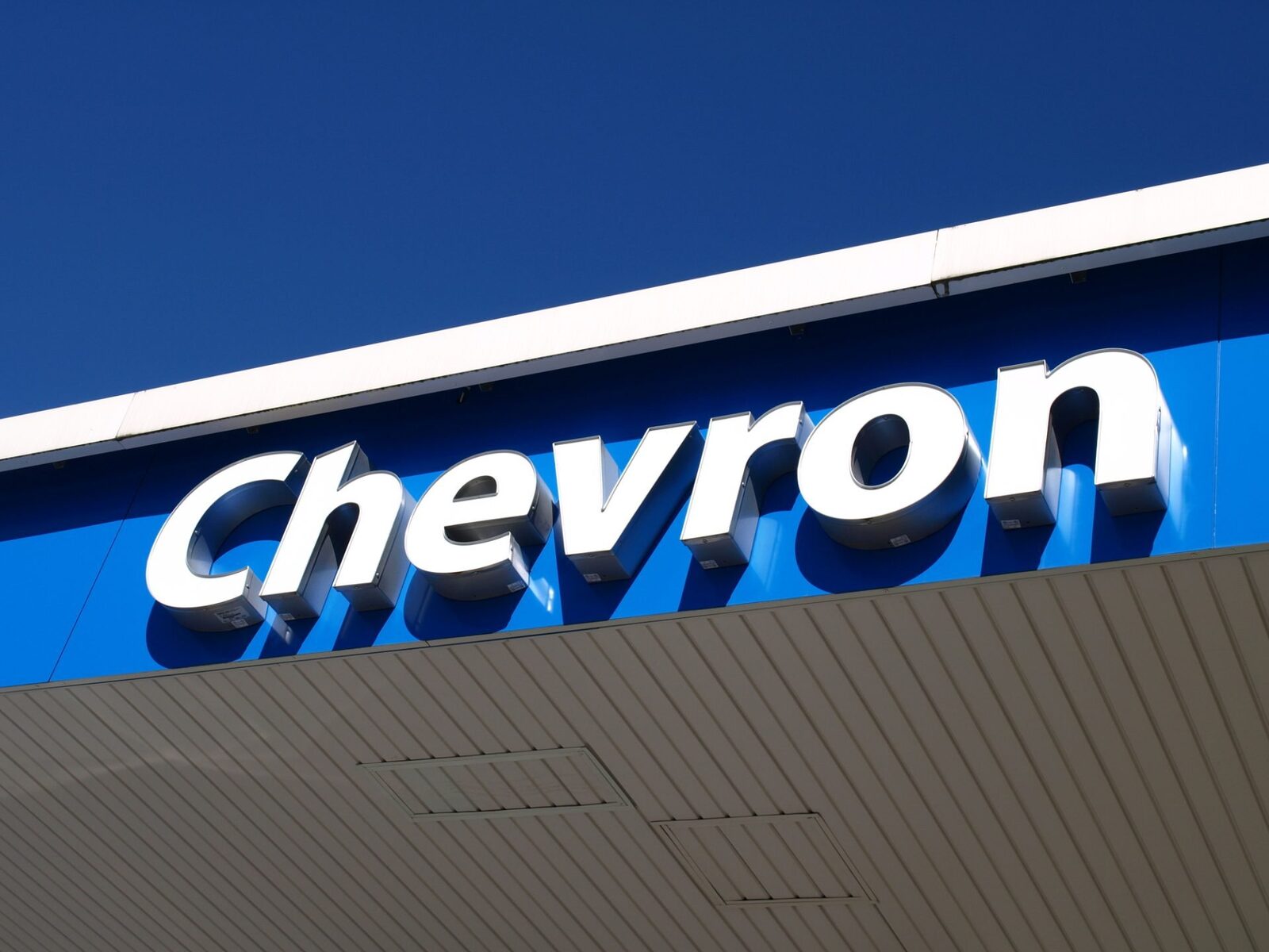 Petrolul și mineralele rare, preferatele investitorilor: Software-ul, în declin?
