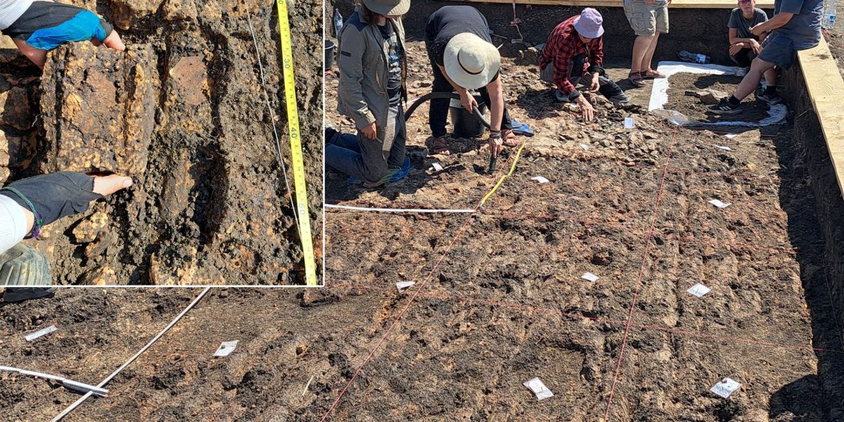 Arheologi din România și Germania, descoperire-șoc la Cucuteni