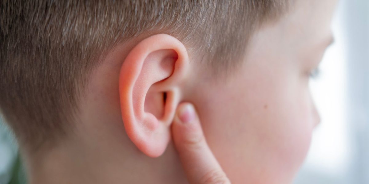 Ce parte a corpului uman e inutilă biologic? Test de cultură generală