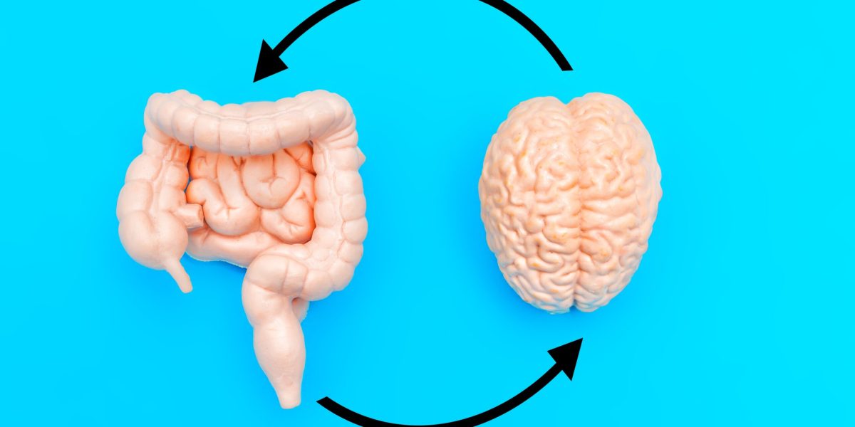 Mâncarea din copilărie îți schimbă creierul pe viață, arată cercetătorii