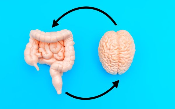 Mâncarea din copilărie îți schimbă creierul pe viață, arată cercetătorii