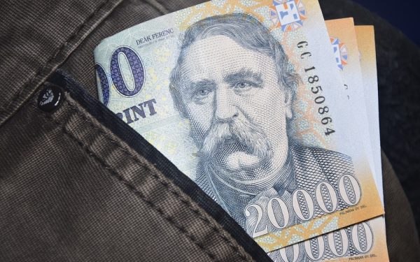 Forintul Ungariei, la maxim istoric după înfrângerea lui Orban