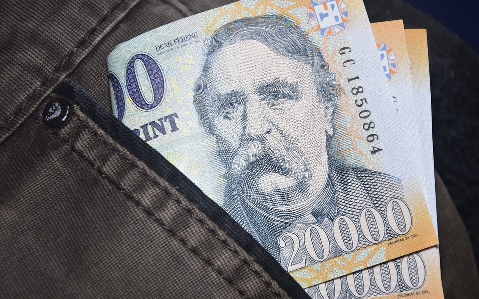 Forintul Ungariei, la maxim istoric după înfrângerea lui Orban