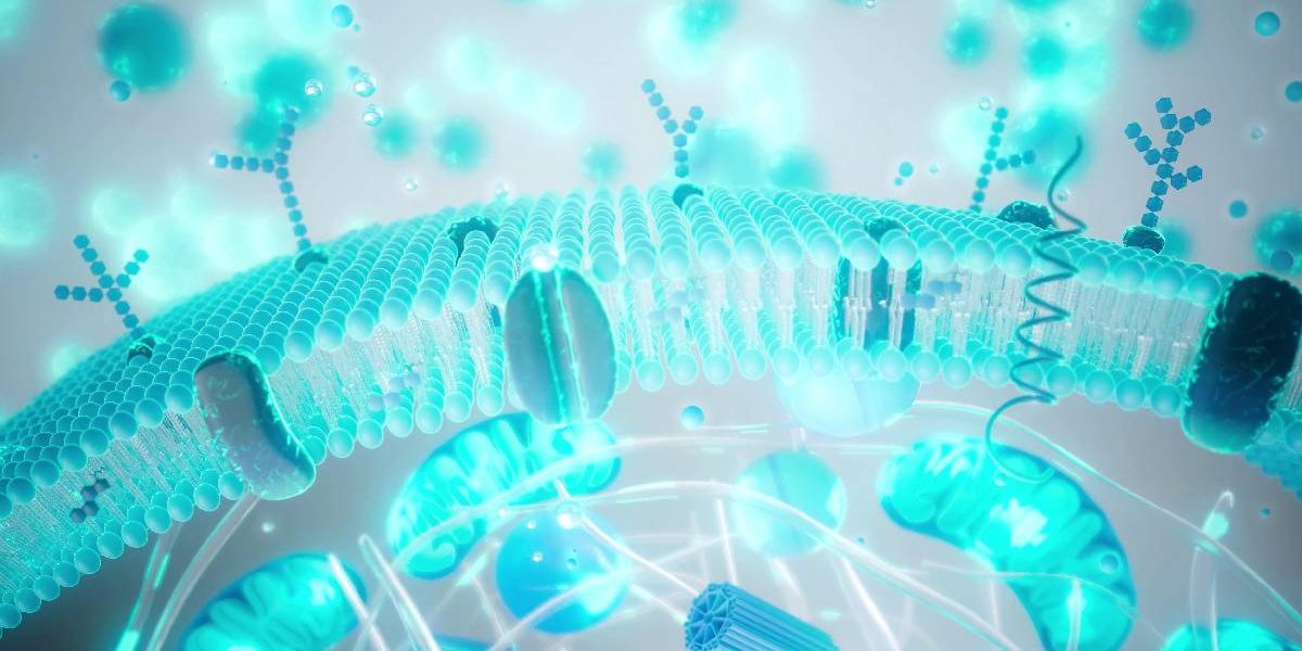 Balonare, greață, reflux după PAȘTE: Ghidul de revenire digestivă