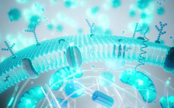 Balonare, greață, reflux după PAȘTE: Ghidul de revenire digestivă