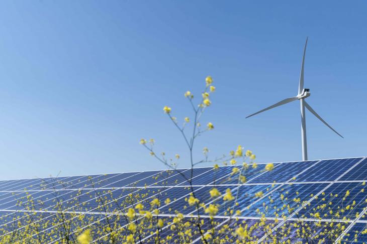 Prețurile energiei electrice din Polonia au coborât sub zero pentru clienții casnici cu instalații regenerabile Prețurile pieței de energie electrică din Polonia au atins nivele negative pentru anumite categorii de consumatori casnici, în urma unei producții record din surse eoliene și solare