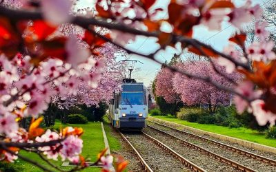 Aprilie plin în București: evenimentele de neratat din Capitală