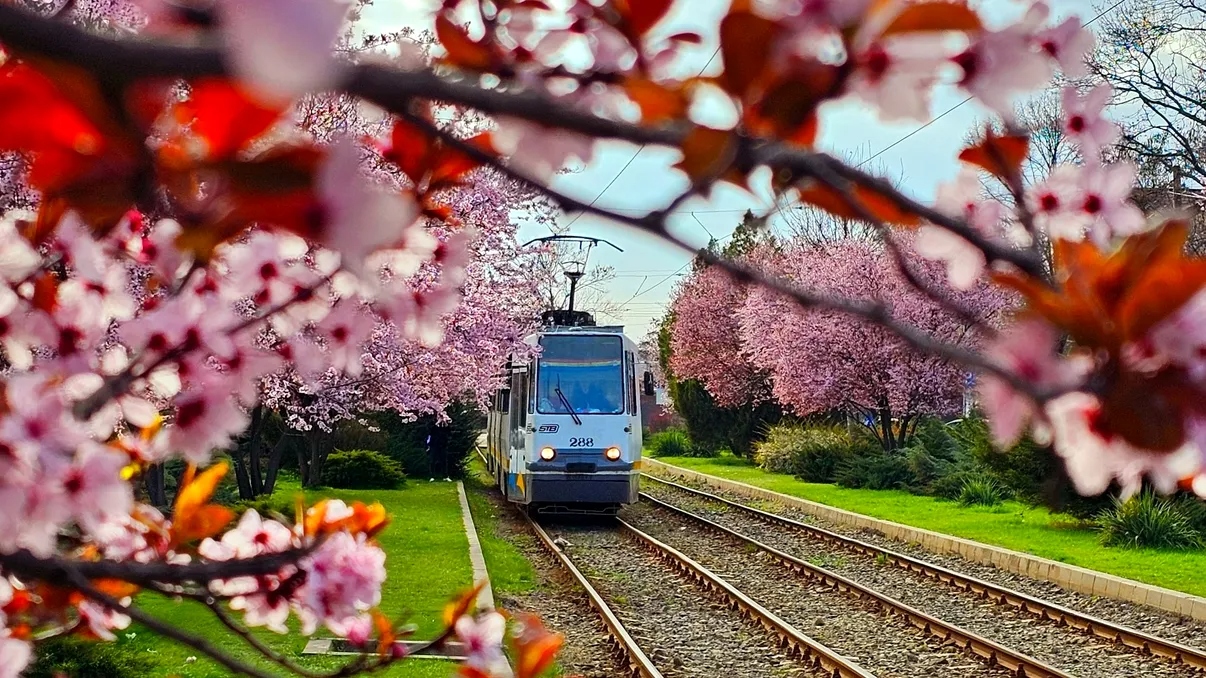 Aprilie plin în București: evenimentele de neratat din Capitală
