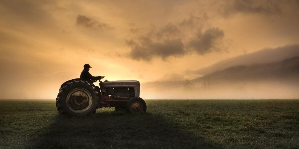 Fermierii, strigăt de alarmă: Guvernul și UE, „să lase prostiile” în agricultură