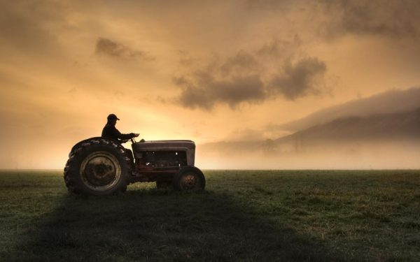 Fermierii, strigăt de alarmă: Guvernul și UE, „să lase prostiile” în agricultură