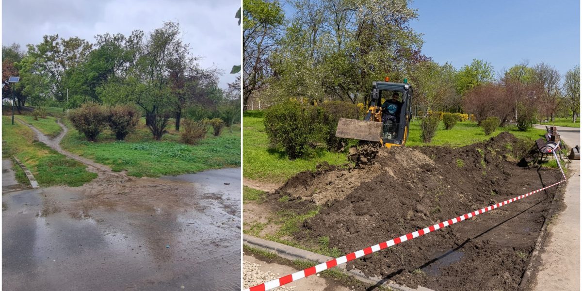 București: Primă grădină de ploaie în Parcul Tineretului