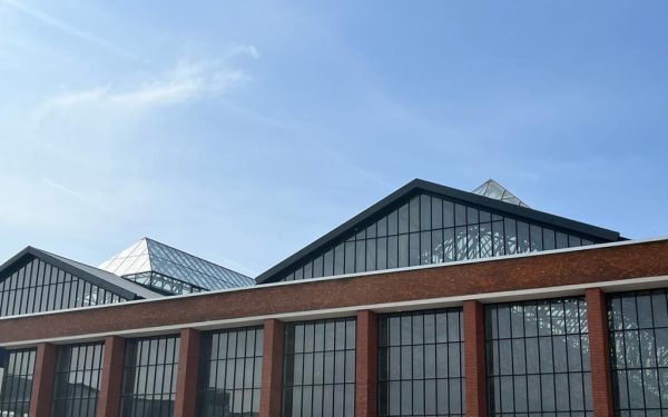 Uși de lux „evaporate” la Hala Laminor, Sectorul 3: Prejudiciu de 1 milion de euro