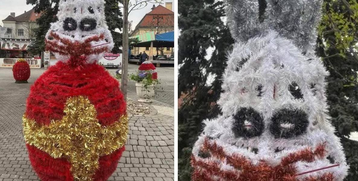 Iepurii horror din Baia Mare șochează: „Te doare mintea”, spun localnicii