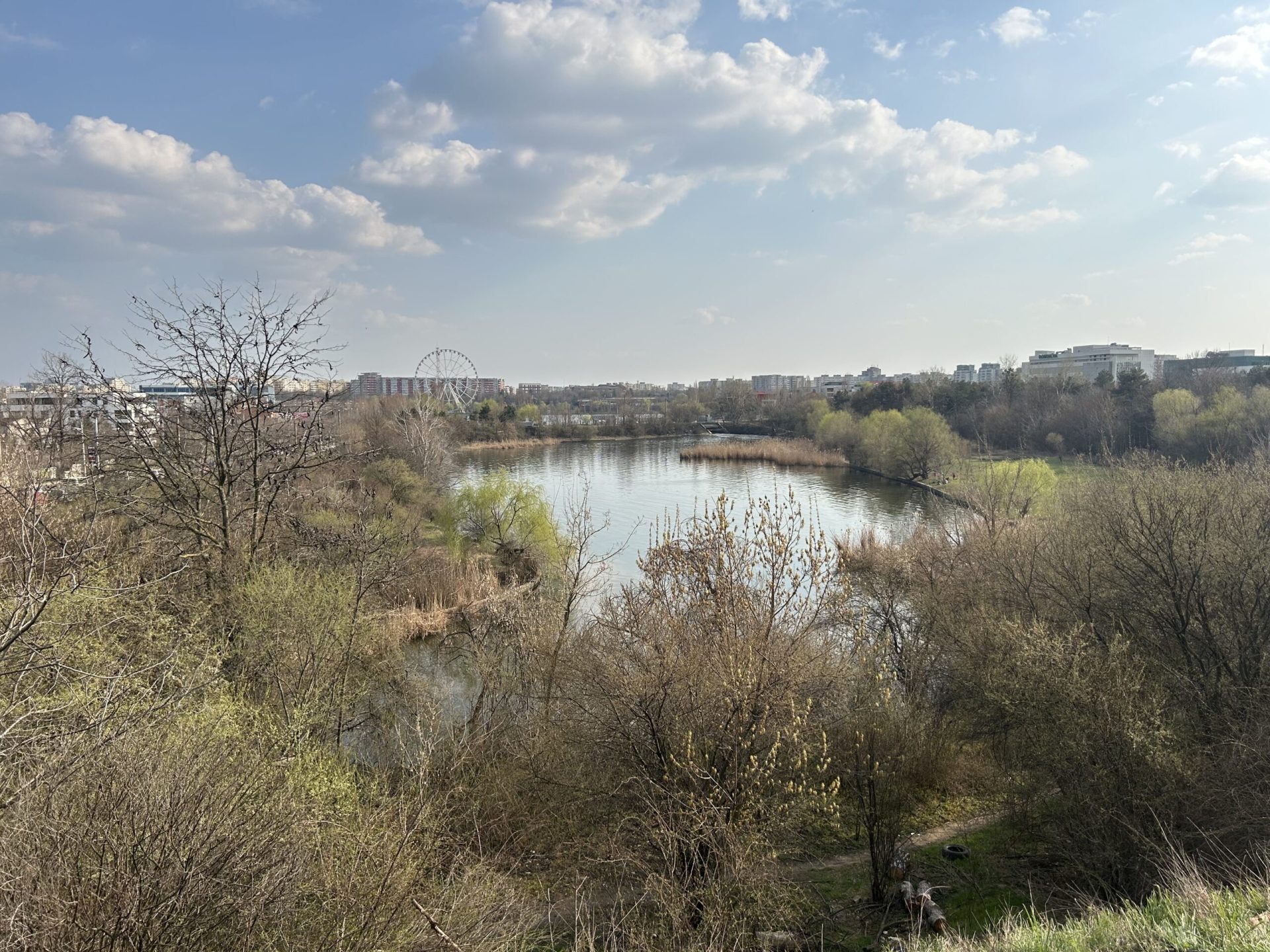 Pajiștea Petricani, zona verde situată la o distanță mică de cartierul Tei, a devenit subit scena unor acțiuni de defrișare și foraje ilegale, la mai puțin de un an de la declararea sa arie naturală protejată