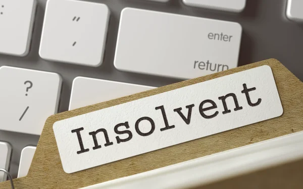 Insolvența personală din 2026: Ce înseamnă „nivel rezonabil” și datoriile tale