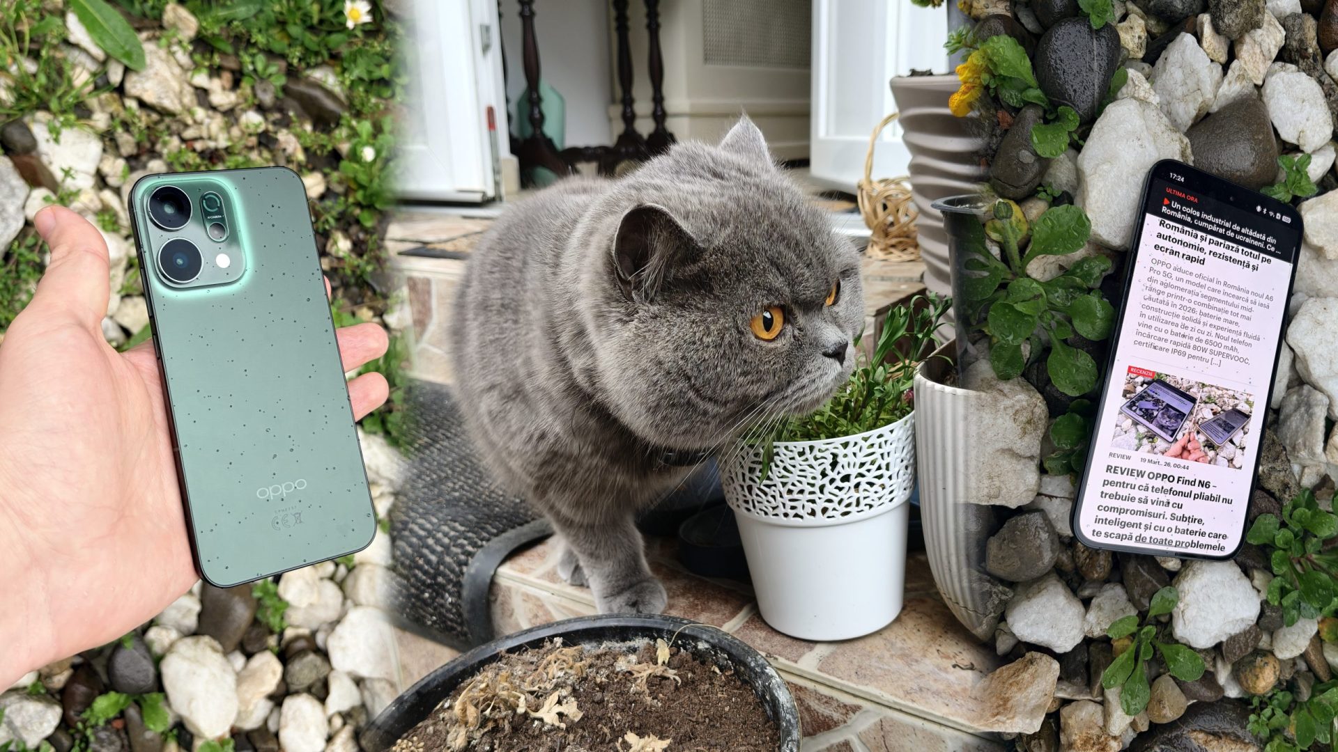 Oppo Reno14 5G, un telefon accesibil cu design captivant și funcții moderne Oppo Reno14 5G vine pe piața românească ca un dispozitiv care combină un preț competitiv cu caracteristici tehnice impresionante