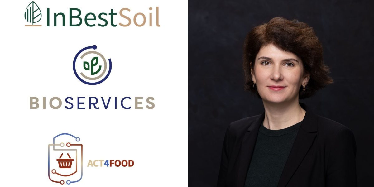 June Communications intră pe piața europeană: Noua divizie, pe valul cererii