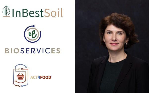 June Communications intră pe piața europeană: Noua divizie, pe valul cererii