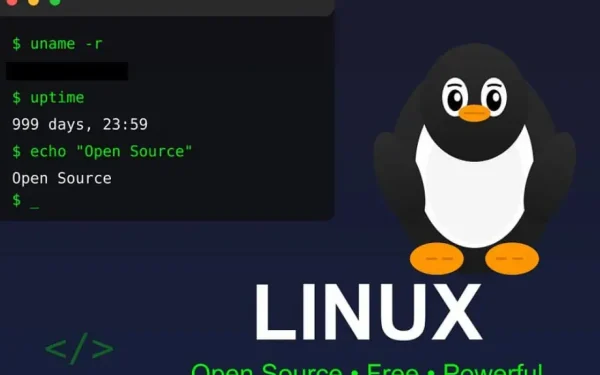 Franța: Adio Windows, Salut Linux! Parisul scapă de giganții tech americani