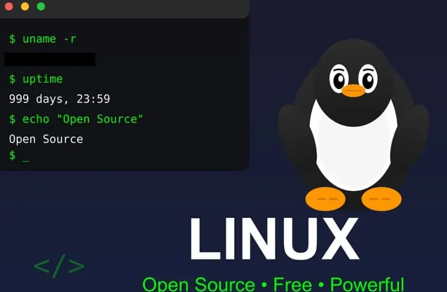 Franța: Adio Windows, Salut Linux! Parisul scapă de giganții tech americani