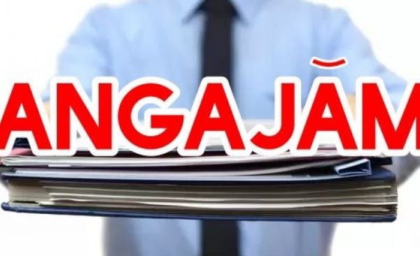 Angajări în România: Firmele „se bat” pe șoferi, curieri și necalificați