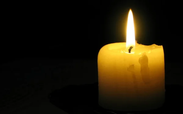 Adio, frumusețe! Actrița care a cucerit o lume, răpusă de boală