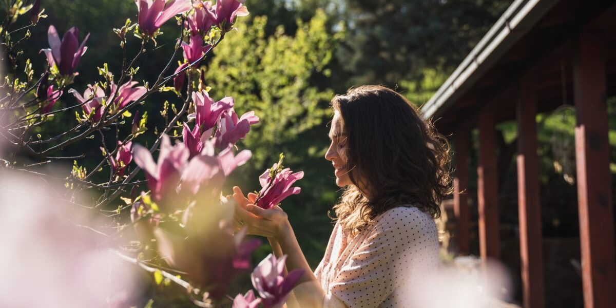 Copacul MAGIC ce îți schimbă viața: Plantează-l în aprilie! Tradiția românească