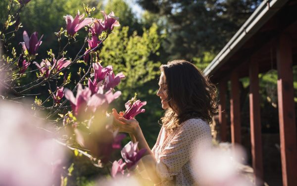 Copacul MAGIC ce îți schimbă viața: Plantează-l în aprilie! Tradiția românească