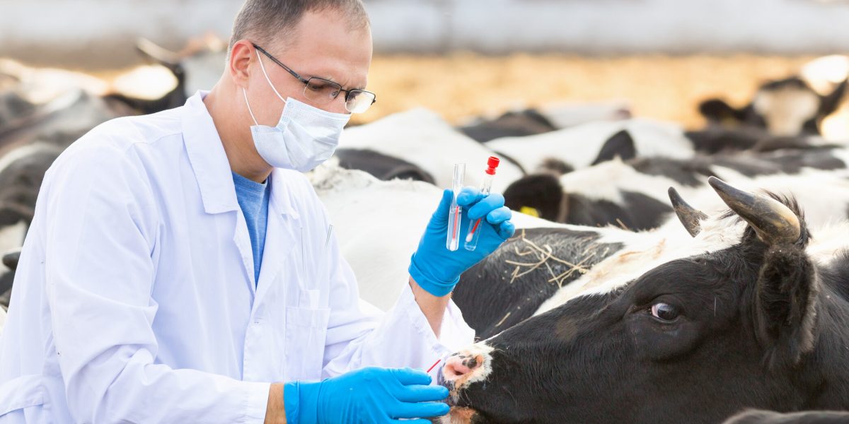 Avertisment APIA: Crescătorii fără adeverință nu primesc subvenții în 2026! Costă 600 lei