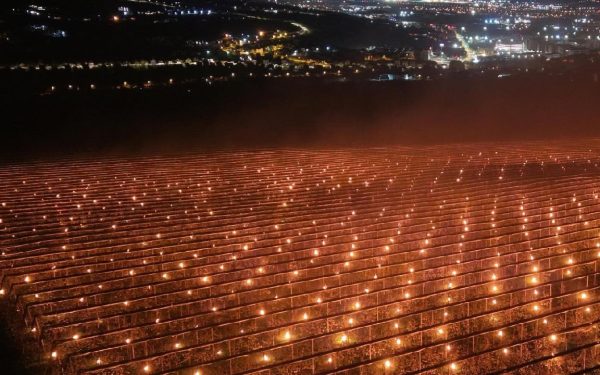 Fermă din Cluj, disperată să-și salveze cireșii: 40.000 de euro, fum și căldură